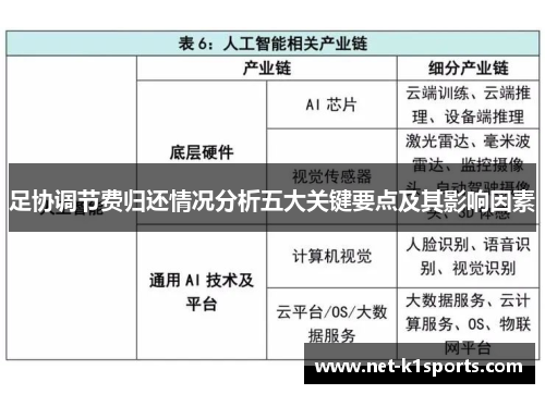 足协调节费归还情况分析五大关键要点及其影响因素